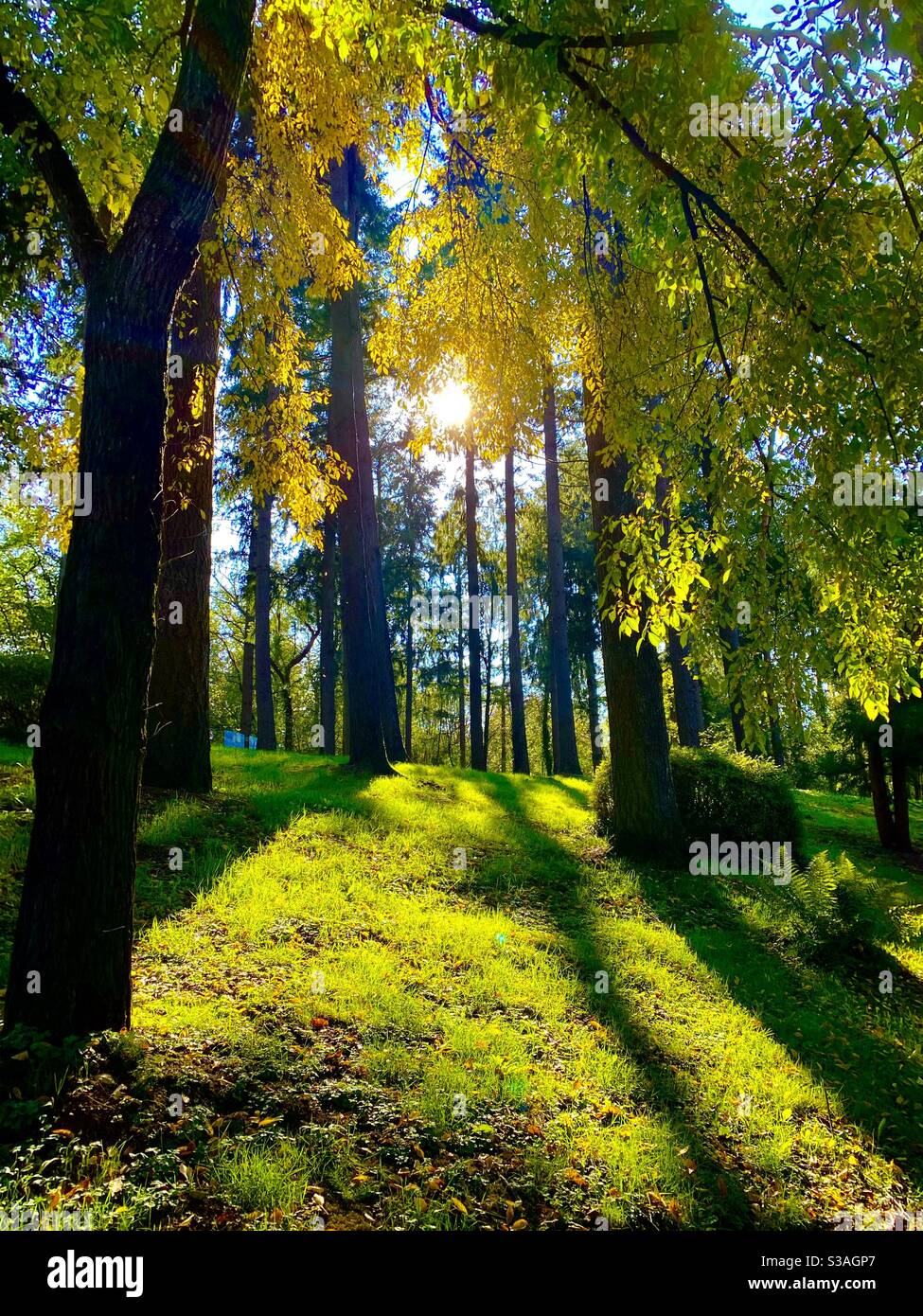 Parc oriental Maulevrier France Banque D'Images