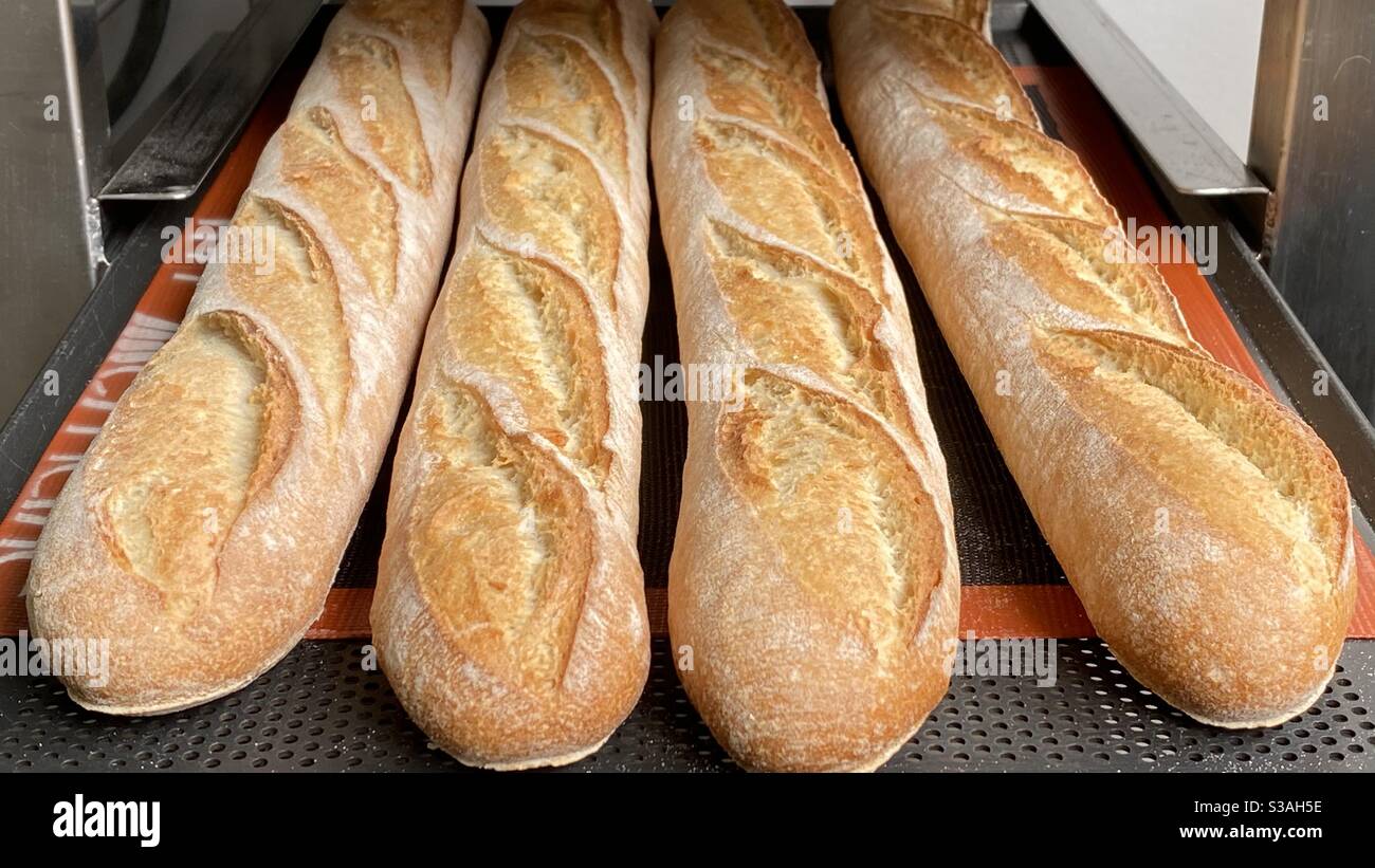 Quatre baguettes chaudes de suite Banque D'Images