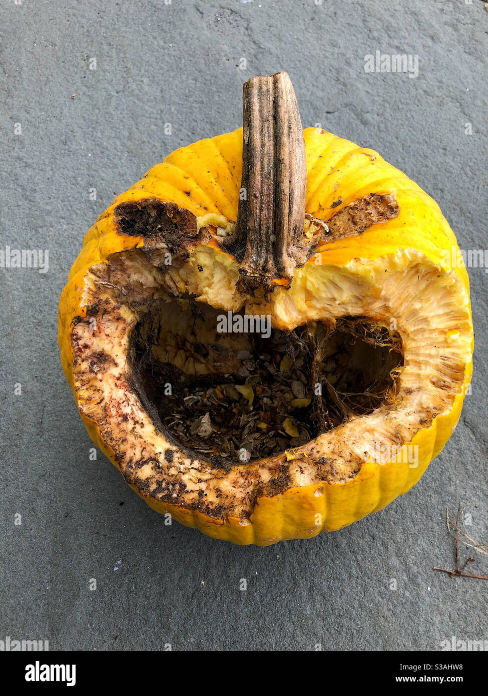 Citrouille d'Halloween sculptée avec hache pour le visage de monstre crépeux avec un sentiment d'horreur Banque D'Images