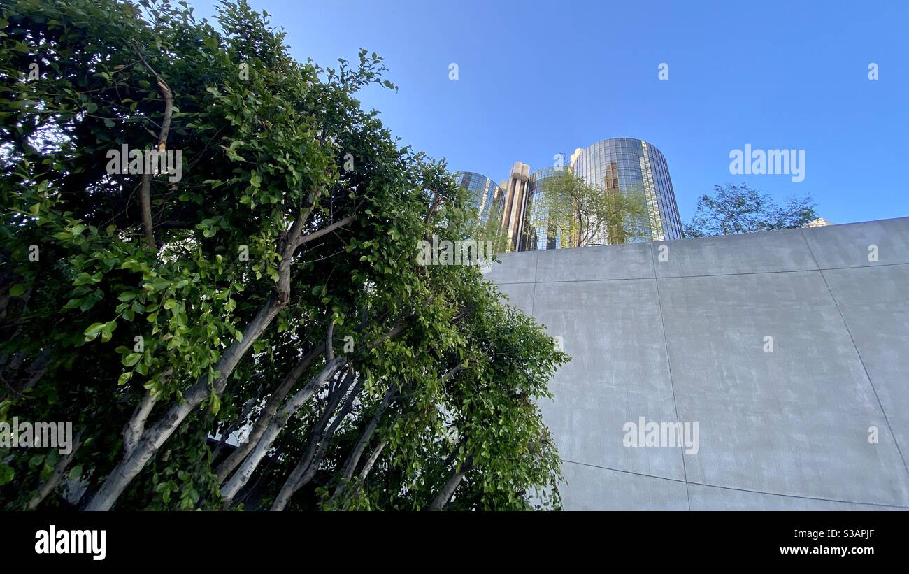 LOS ANGELES, CA, JUL 2020 : haut de l'hôtel Westin Bonaventure au centre-ville avec un ciel bleu en arrière-plan, vu sur un mur en béton, arbre en premier plan - Image de stock capturée avec un smartphone
