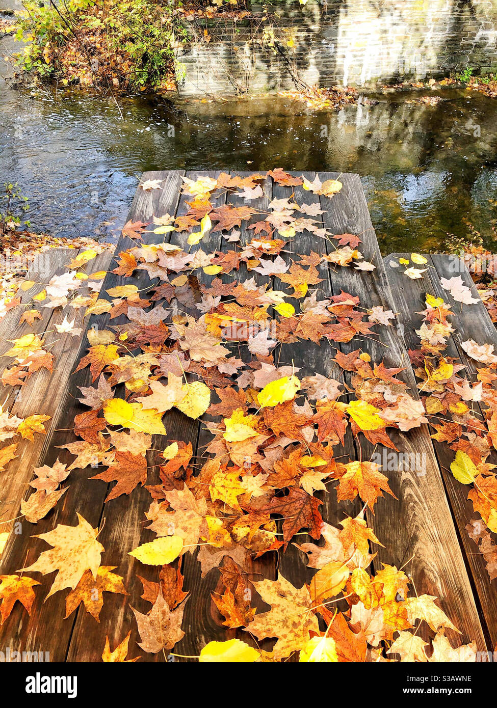 Les feuilles d'automne couvrent une table de pique-nique en bois à côté d'un ruisseau, Woodstock, N.Y. Banque D'Images