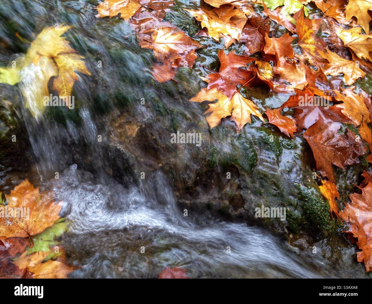 Cascade de la Lez en automne, Montpellier France Banque D'Images