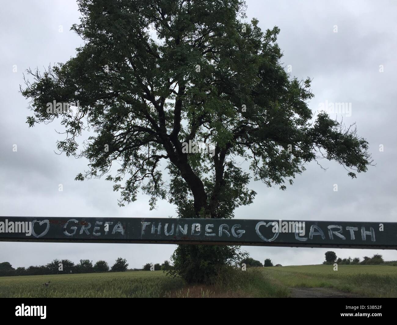 Amour Greta Thunberg, Amour Terre - Image de stock capturée avec un smartphone