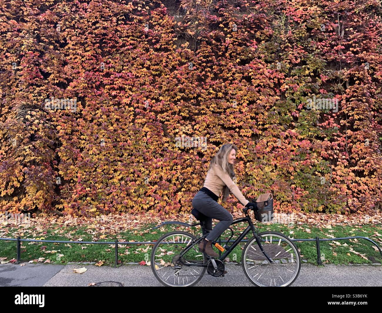 Cycliste femelle contre le mur des feuilles d'automne - Image de stock capturée avec un smartphone Cycliste femelle contre le mur des feuilles d'automne - Image de stock capturée avec un smartphone