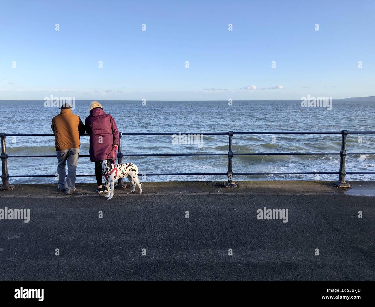 Couple avec un chien dalmatien se penchant sur des rampes sur une promenade, regardant les vagues à marée haute Banque D'Images