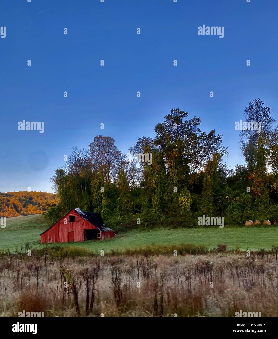 Grange rouge en automne Shenandoah Valley, Virginie Banque D'Images