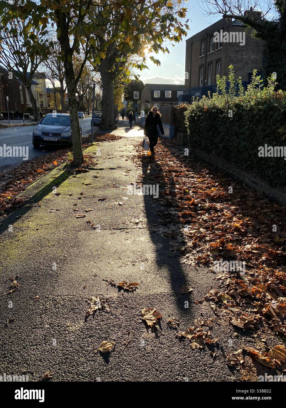 Ombres d'automne de l'après-midi Banque D'Images