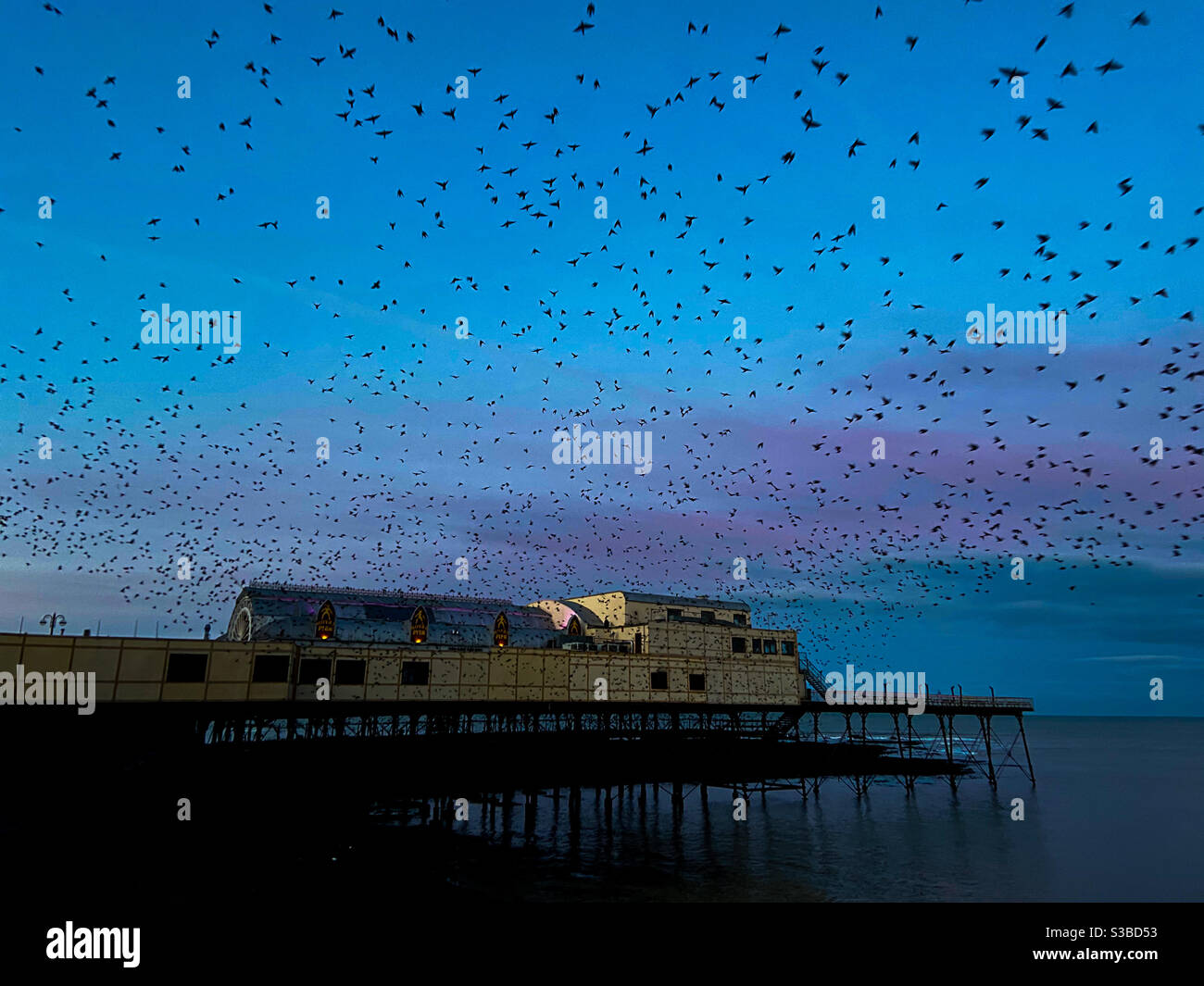 Aberystwyth, pays de Galles de l'Ouest, Royaume-Uni. Lundi 23 novembre. Nouvelles: Des milliers d'étoiles ont éclaté sous le Royal Pier. Crédit photo ©️ Rose Voon / Alamy Live News. Banque D'Images