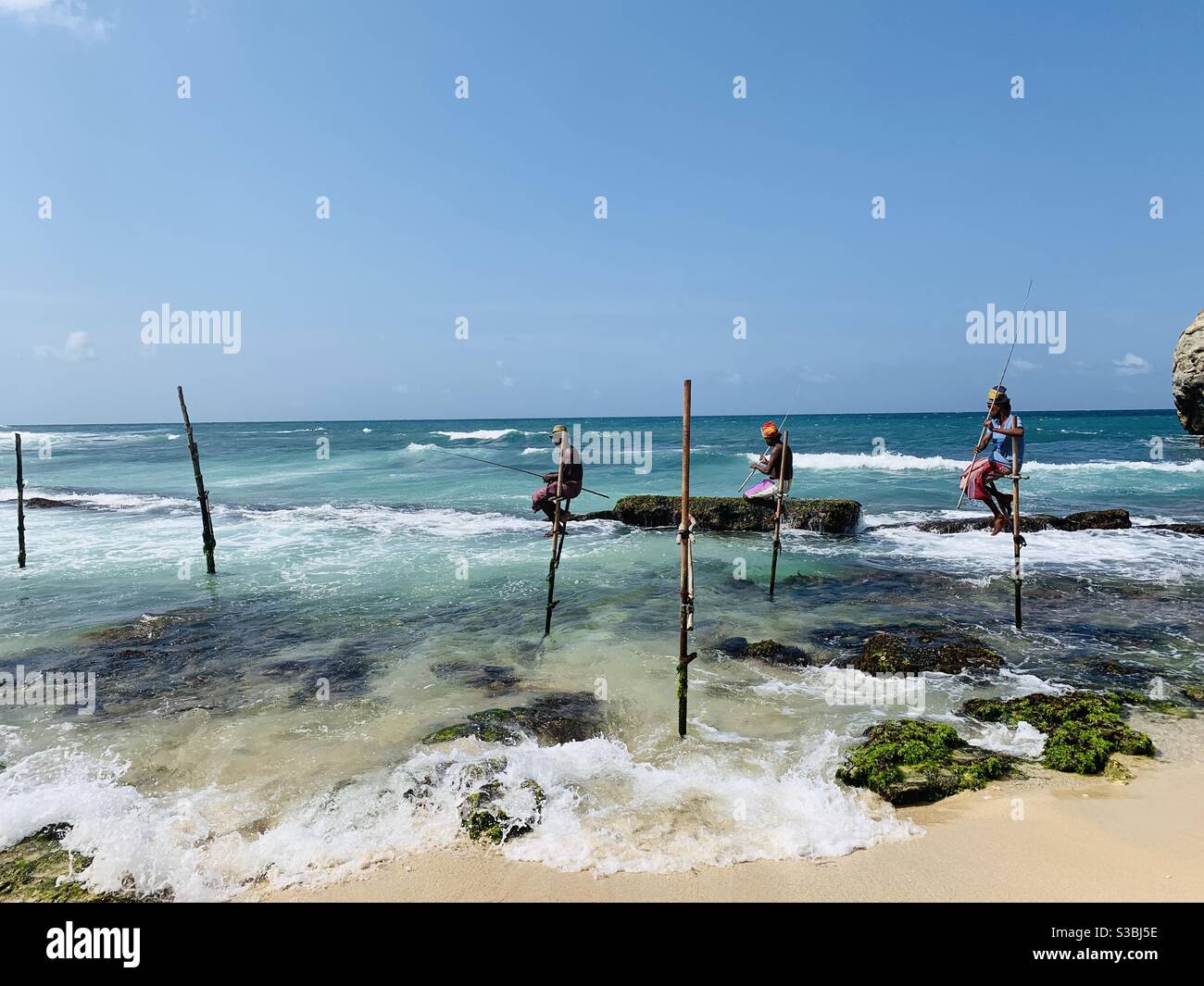 Pêcheurs de pilotis à Galle, Sri Lanka. Banque D'Images