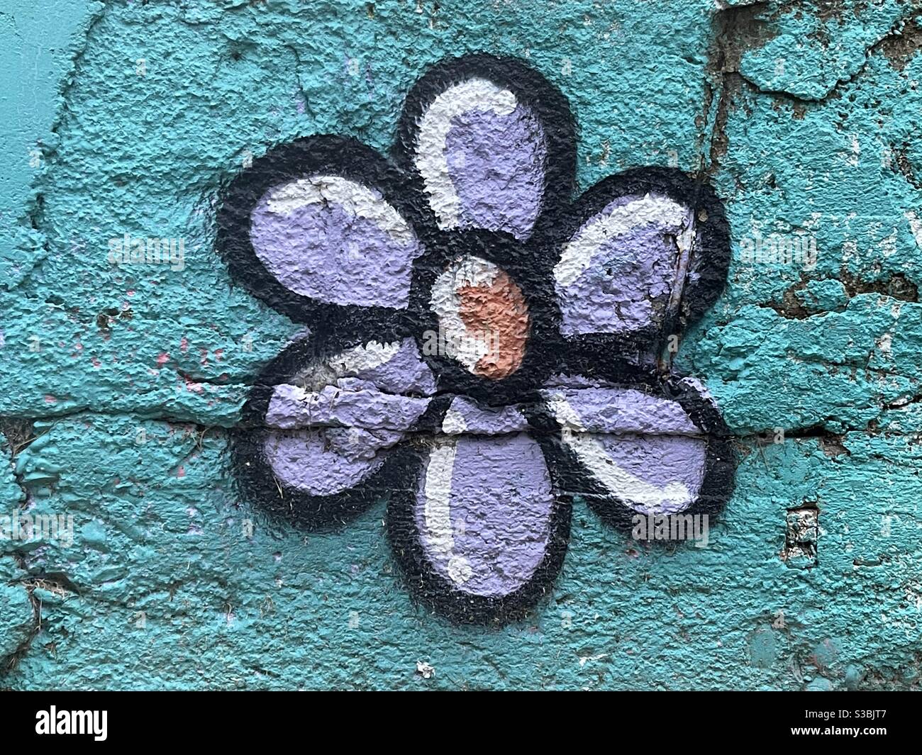 Fleur peinte sur un mur Banque D'Images