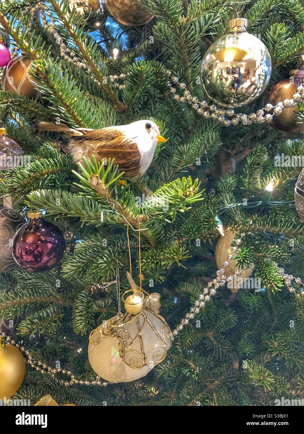 Décorations de Noël suspendu à un arbre. Banque D'Images