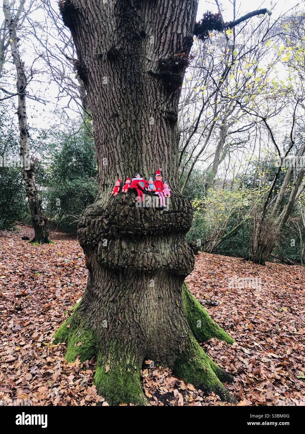 Elfes sur une étagère sur l'arbre de Noël Banque D'Images