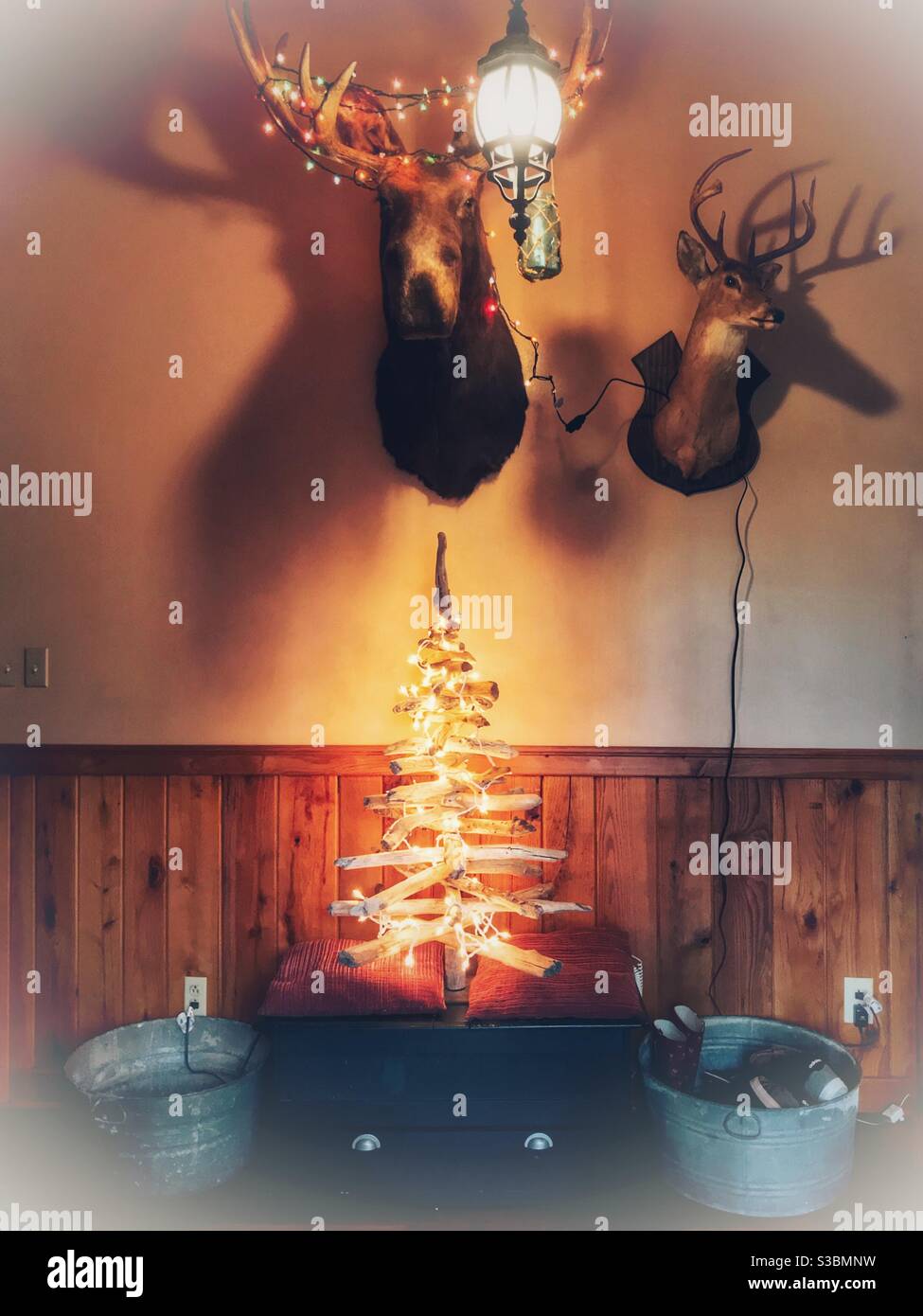 Sapin de Noël en bois flotté décoré de lumières blanches sous l'orignal et têtes de cerf Banque D'Images