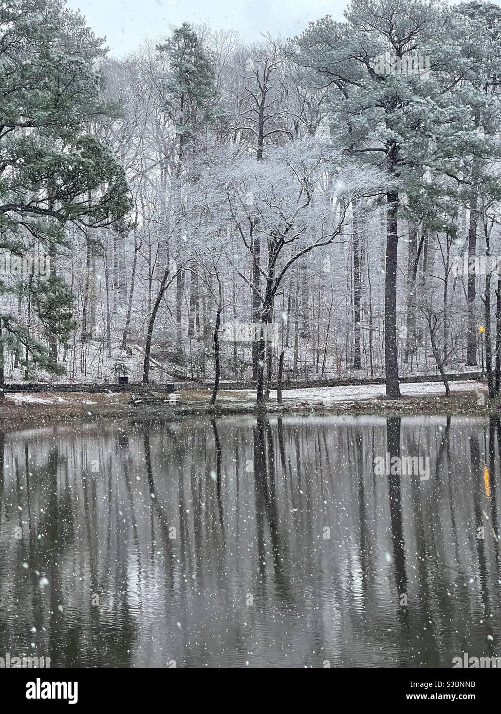 La neige tombe au-dessus d'un lac dans les bois au cours du premier décembre. Banque D'Images