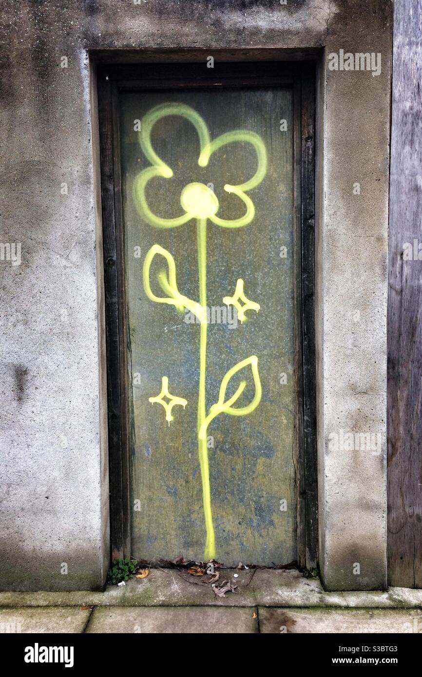 Graffitis d'une fleur sur une surface texturée rugueuse Banque D'Images