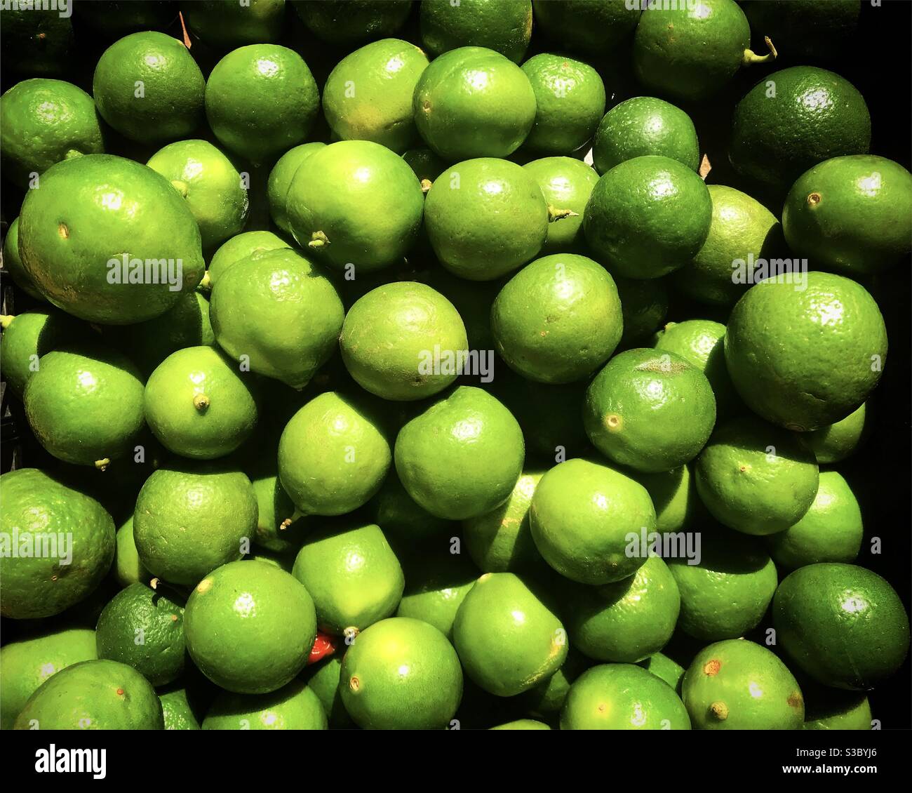 Fruits au citron à vendre dans un magasin de légumes à Queretaro, Mexique Banque D'Images