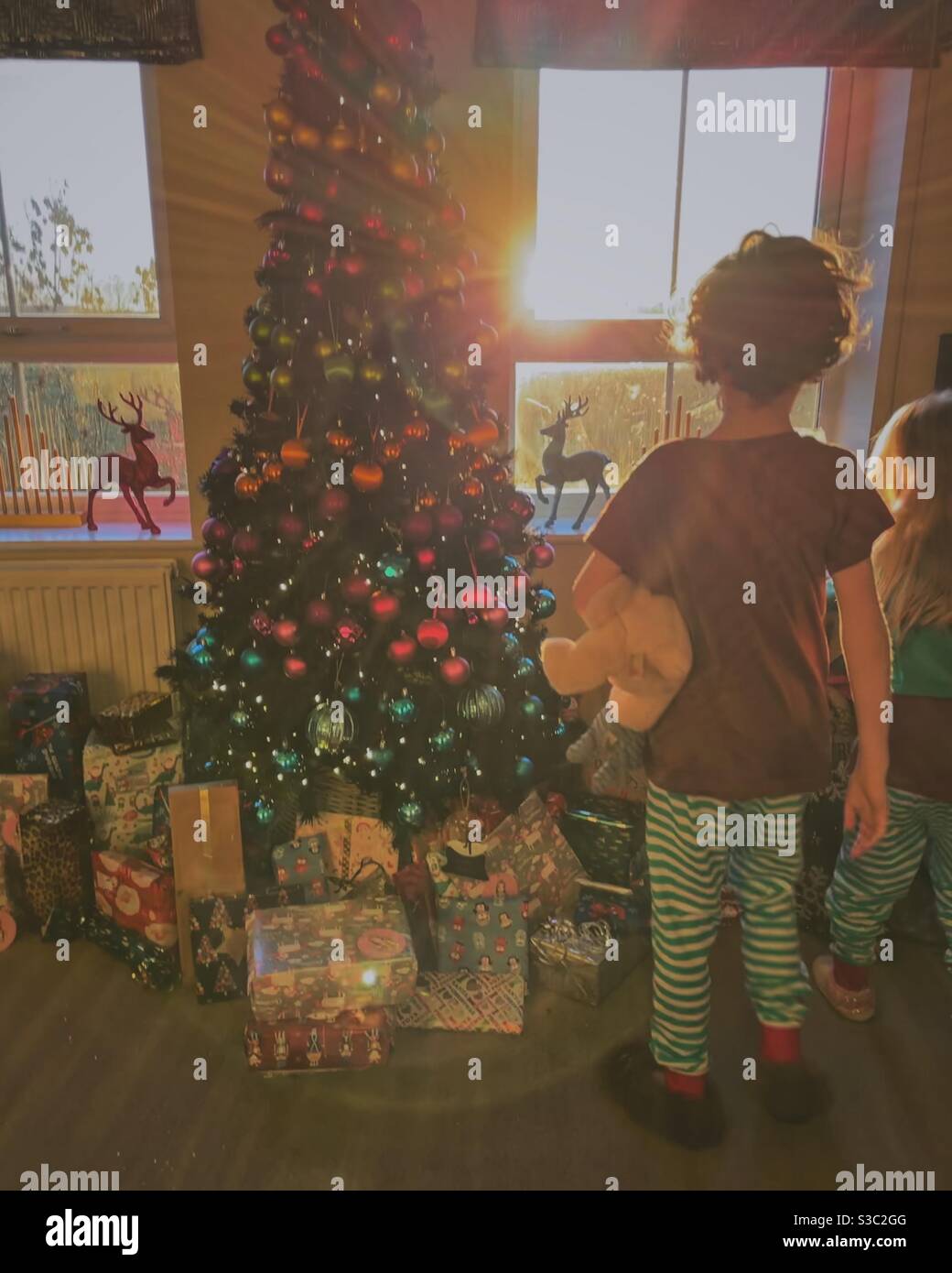 Deux enfants près de l'arbre de Noël le jour de Noël le matin avec le soleil se diffusant par la fenêtre. - Image de stock capturée avec un smartphone