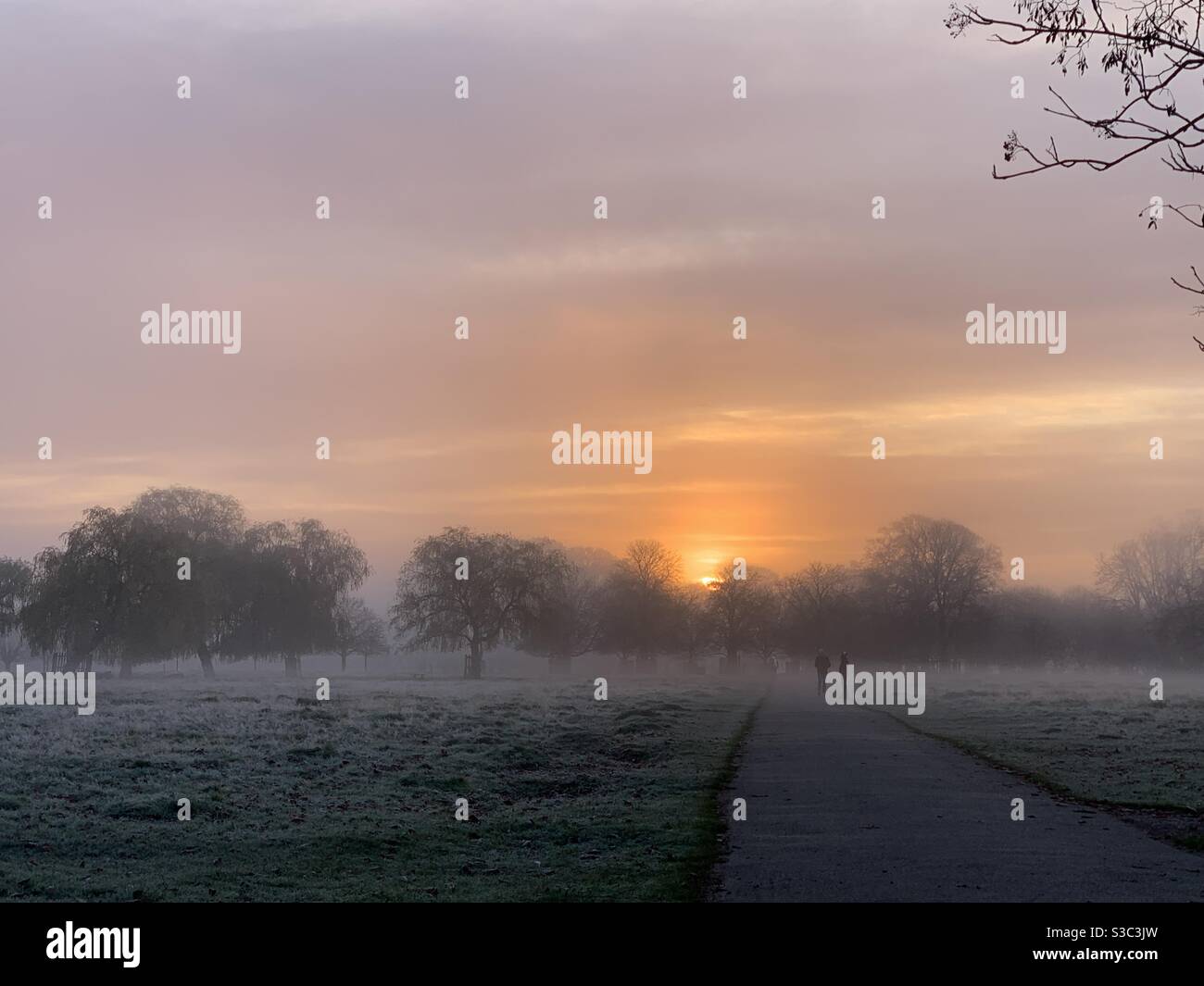 Bush Park Frosty Sun Rise Banque D'Images