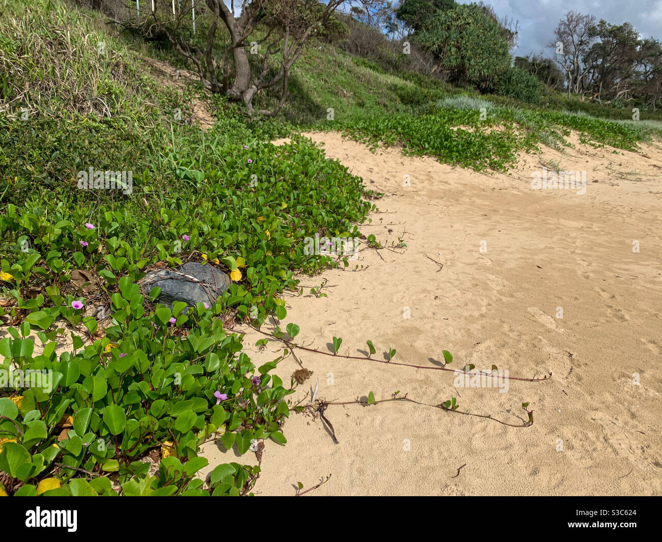 La plage en été Banque D'Images