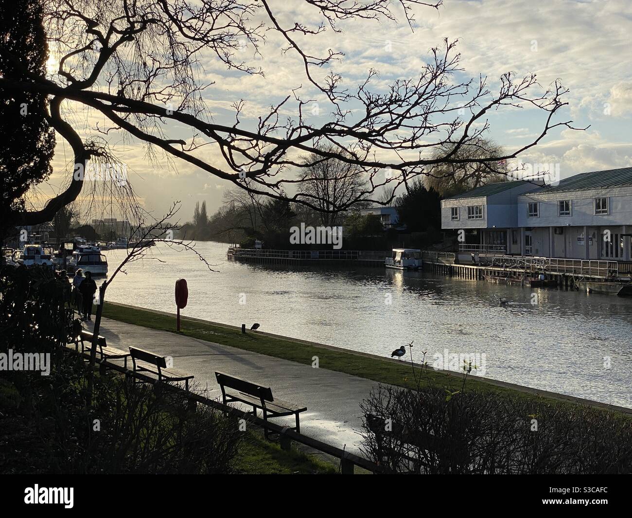 La rivière - Image de stock capturée avec un smartphone