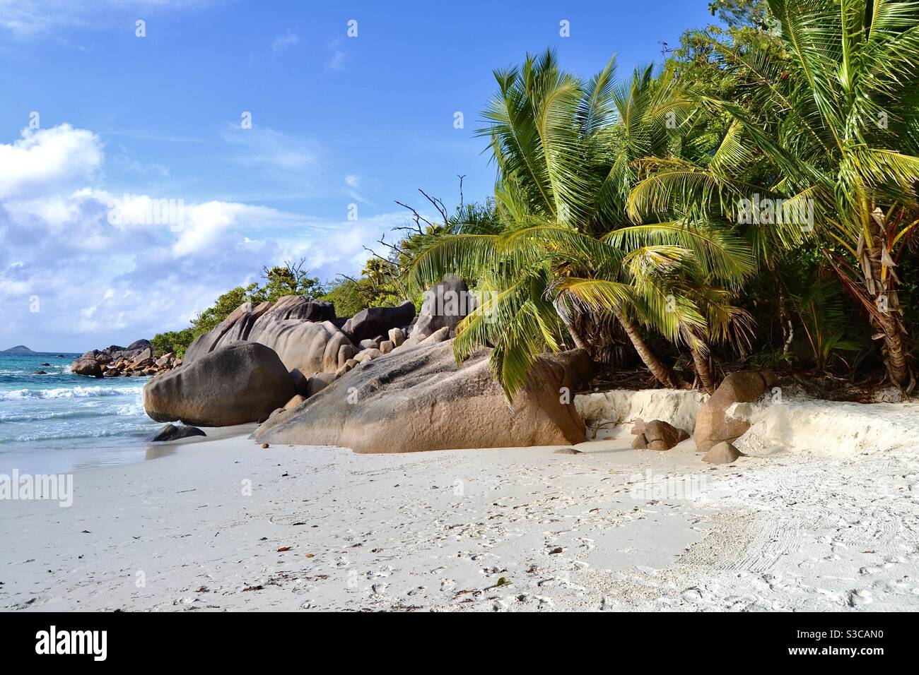 La plus belle plage du monde: Un paradis tropical de palmiers exotiques et de grands rochers sur White Sands avec eaux turquoise de l'océan Indien lors d'une chaude journée d'été aux Seychelles Banque D'Images