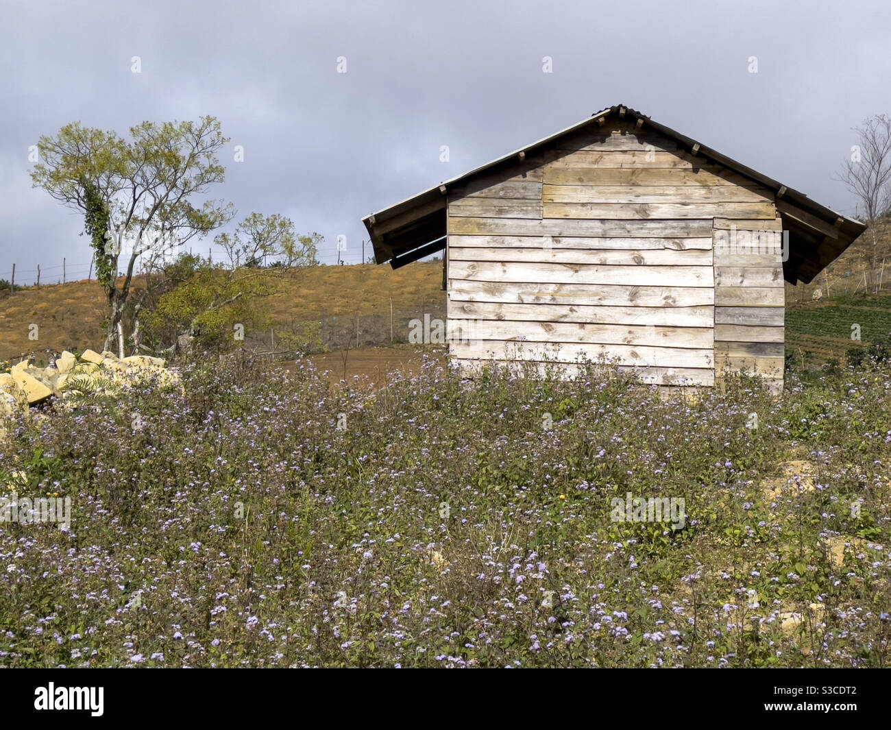 maison sur une colline de fleur sauvage - Image de stock capturée avec un smartphone
