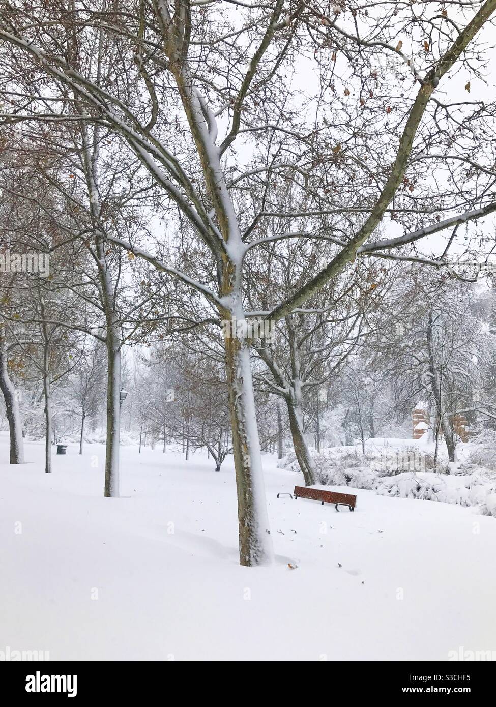 Chute de neige. Parc El Retiro, Madrid, Espagne Banque D'Images