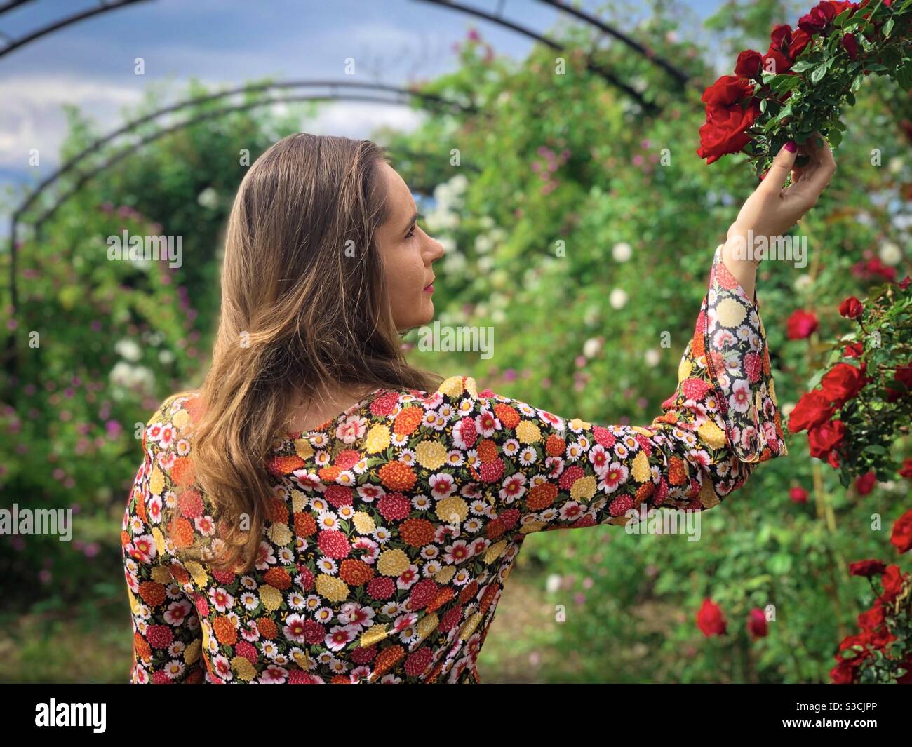 Portrait en robe colorée ramasser des fleurs dans un jardin de roses Banque D'Images