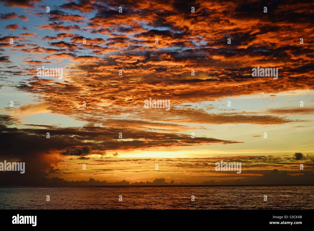 Coucher de soleil dans la mer provoquant l'éclat des nuages épars doré Banque D'Images