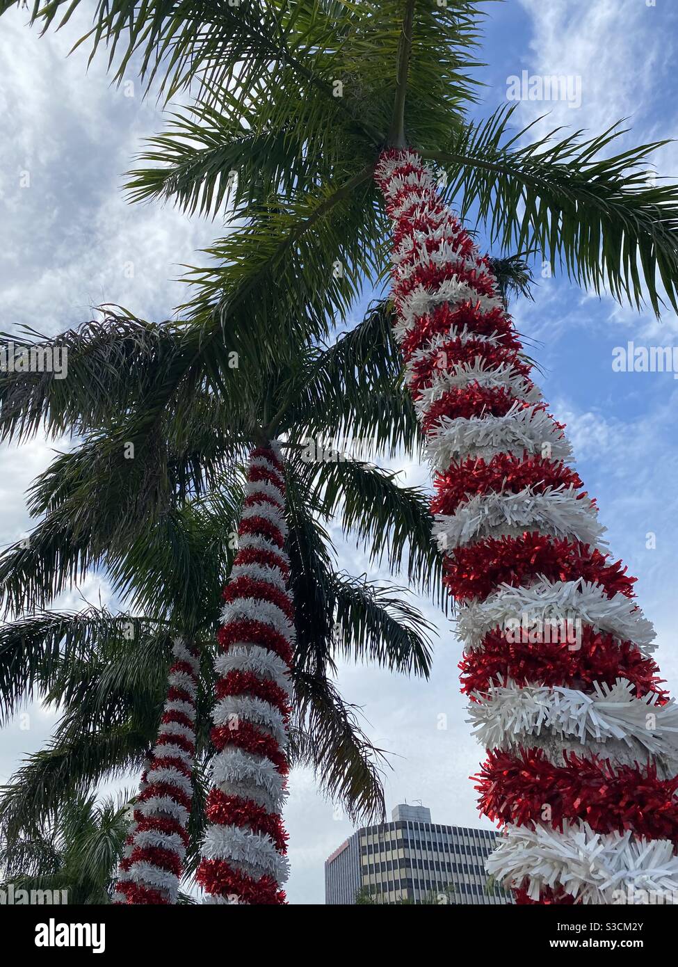 Noël canne de Noël enveloppé palmiers à Saint-Pétersbourg, Floride Banque D'Images