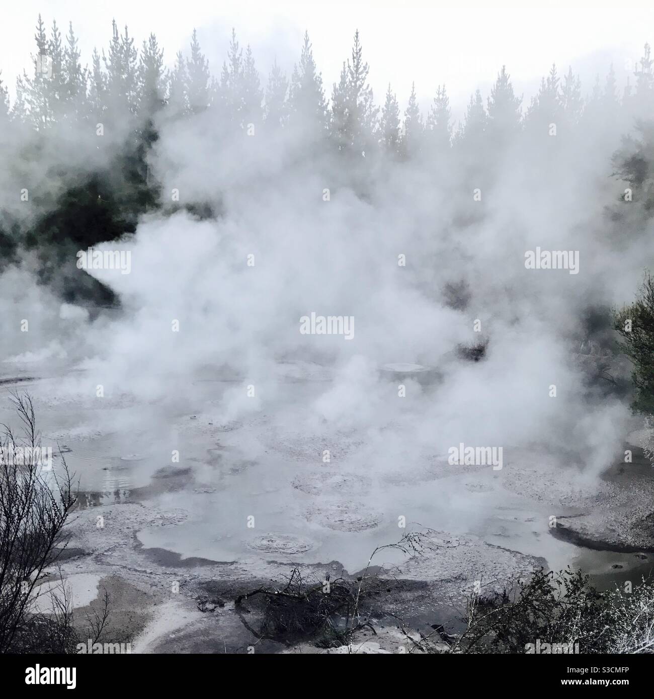 Bains de boue bouillante Rotorua Nouvelle-Zélande Banque D'Images