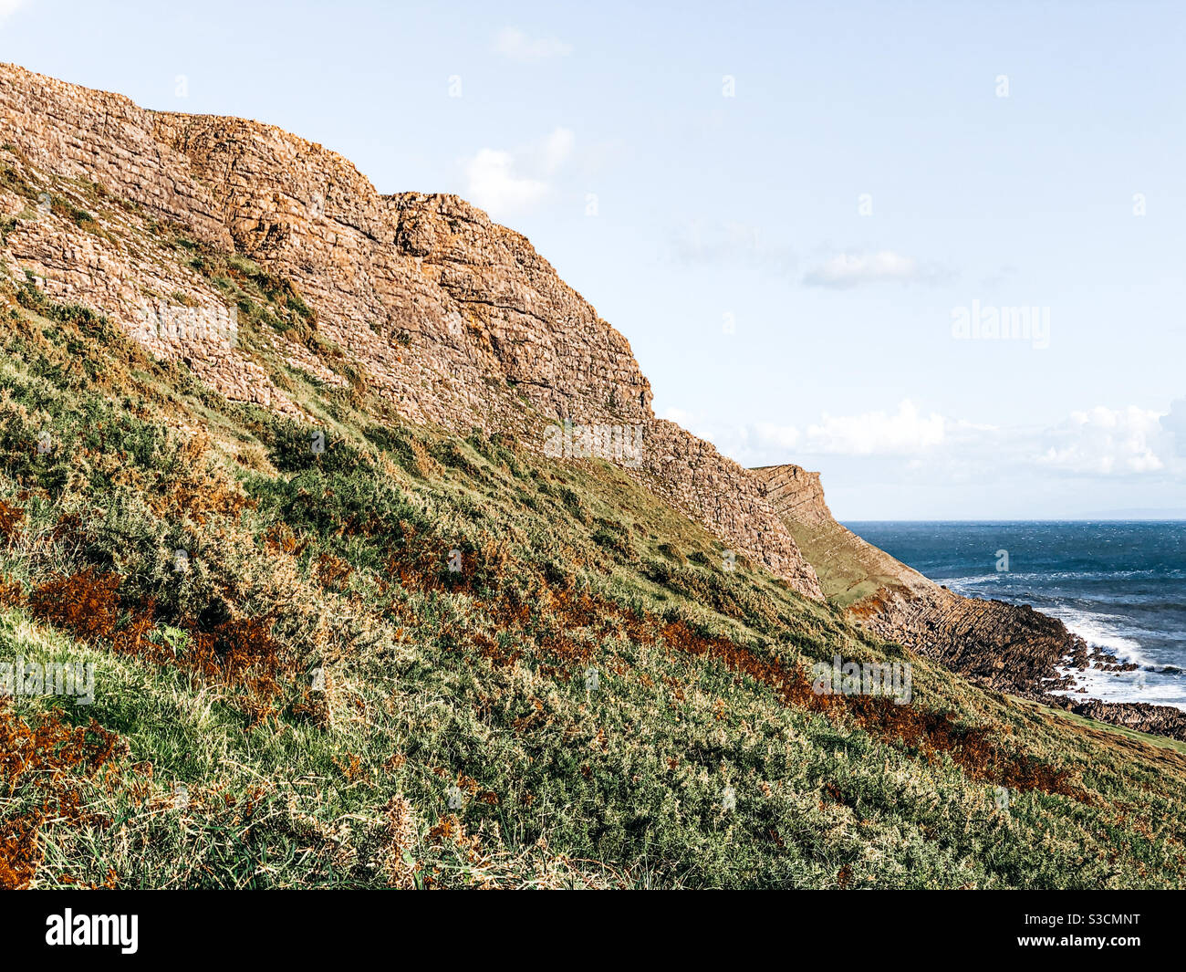 Paysage de calcaire carbonifère, péninsule de Gower, pays de Galles Banque D'Images