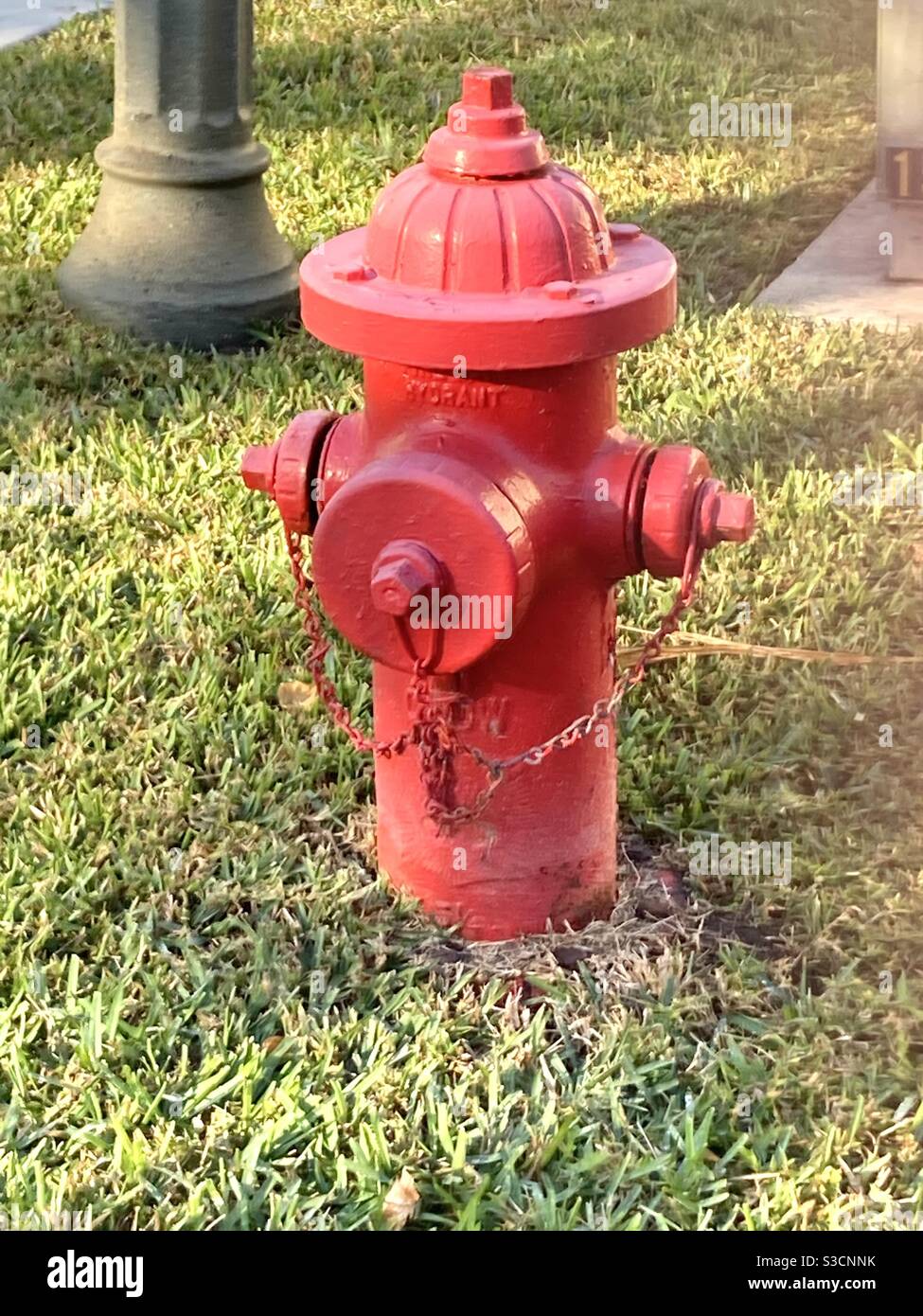 Une photo d'une borne d'incendie rouge dans un cadre d'herbe Banque D'Images