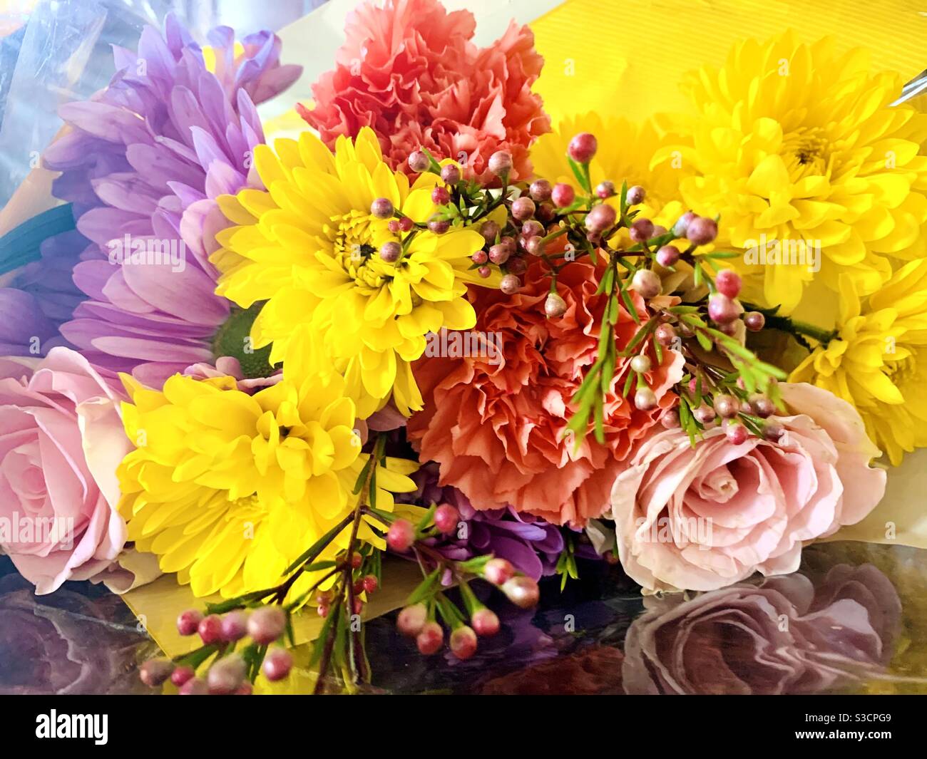 Belle variété de fleurs colorées en fleur Banque D'Images