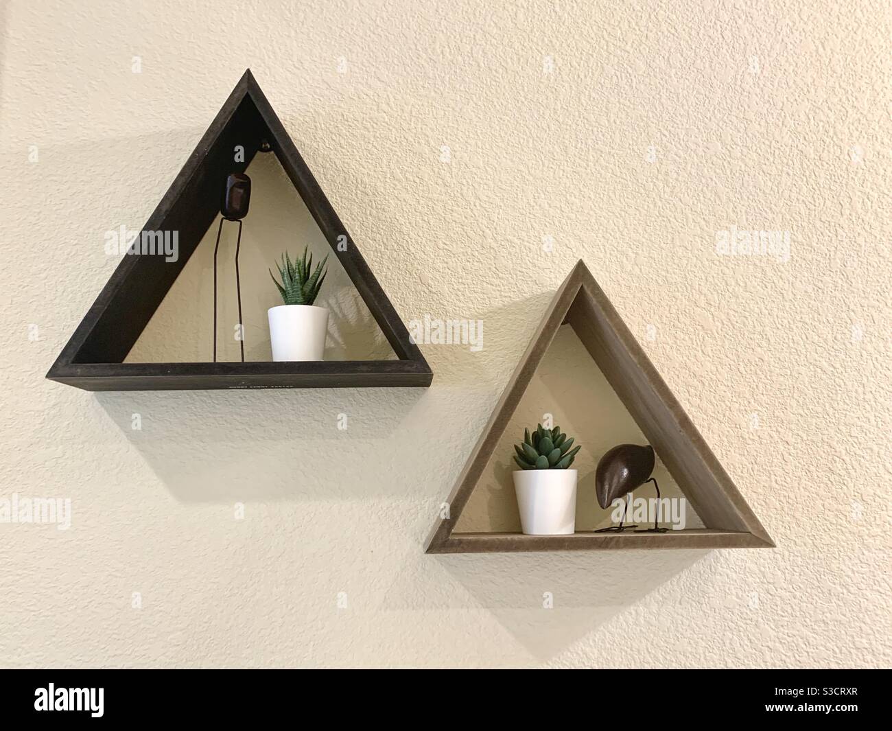 Plantes succulentes et triangles en bois montés sur le mur - Design intérieur Banque D'Images