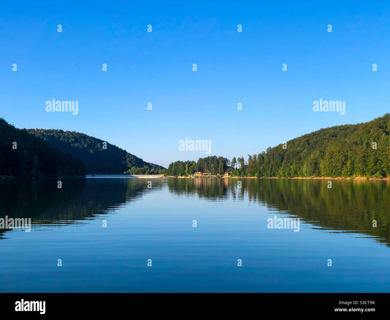 Forêt verte symétrique se reflétant dans l'eau - Image de stock capturée avec un smartphone