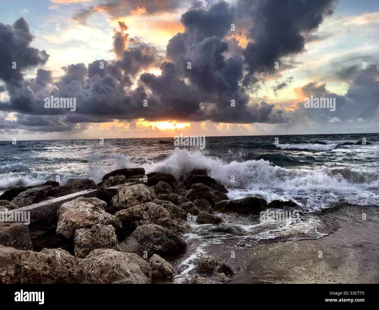 Matin sur l'île de Palm Beach Banque D'Images
