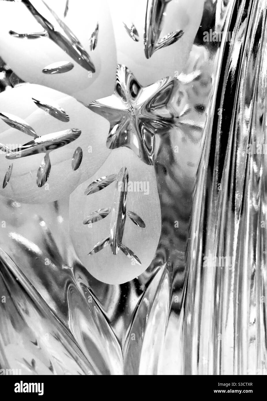 Photo monotone de gros plan de l'étoile et motif de feuilles activé le côté d'un vase de fleur - Image de stock capturée avec un smartphone