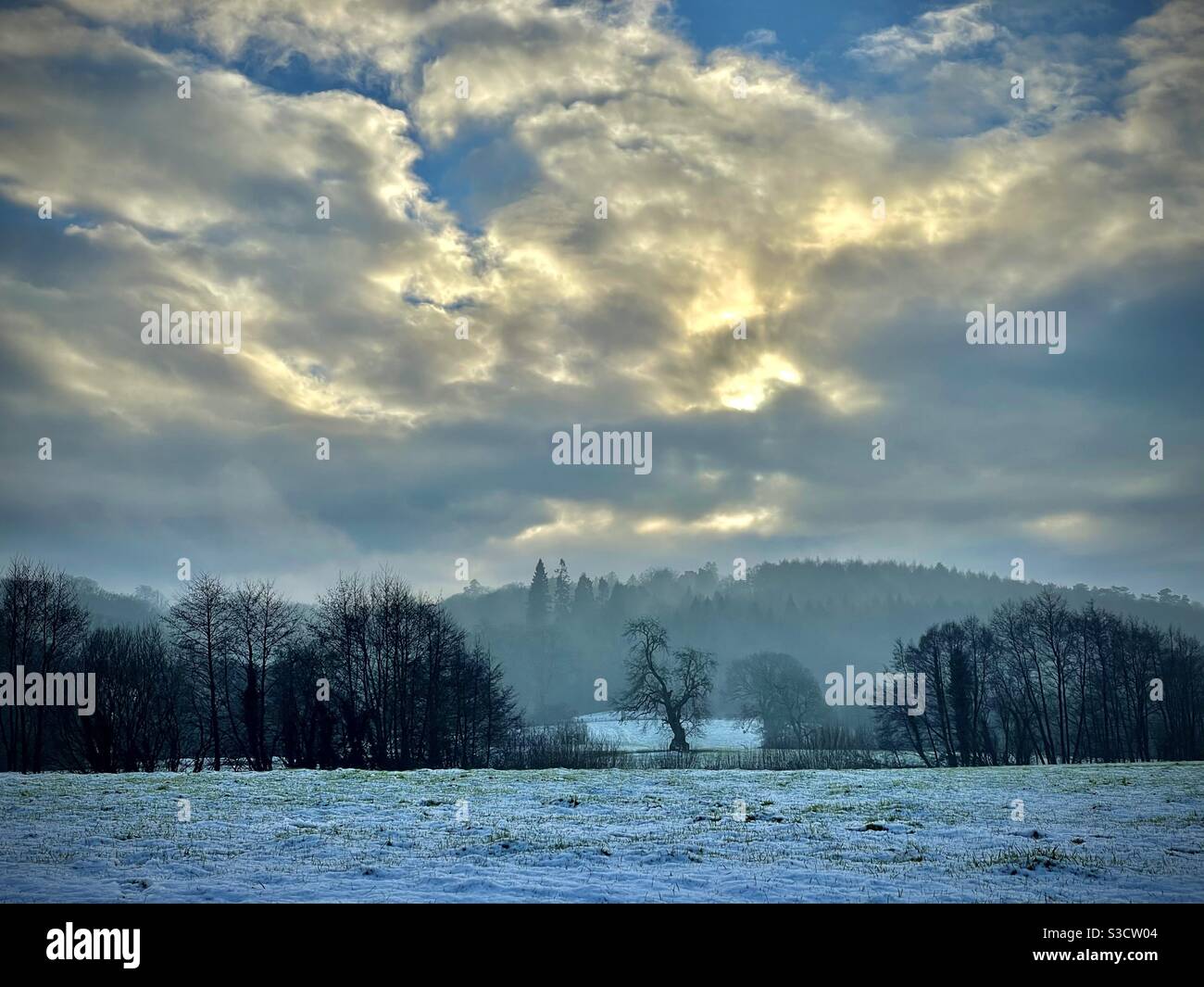 Paysage hivernal sur des champs enneigés, pays de Galles du Sud, janvier. Banque D'Images