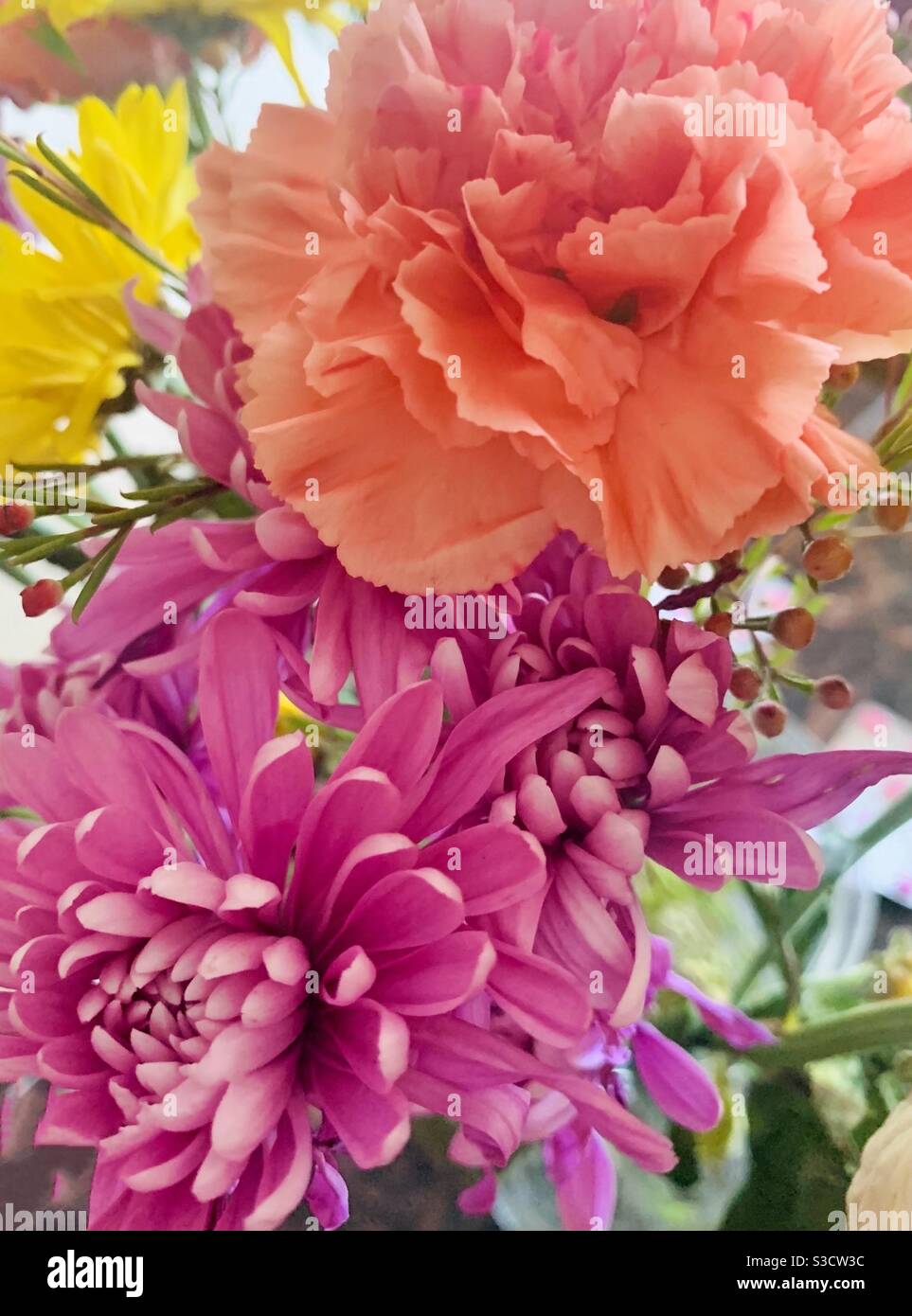 Belles œillets - fleurs roses et orange - livraison florale - fleurs d'anniversaire Banque D'Images