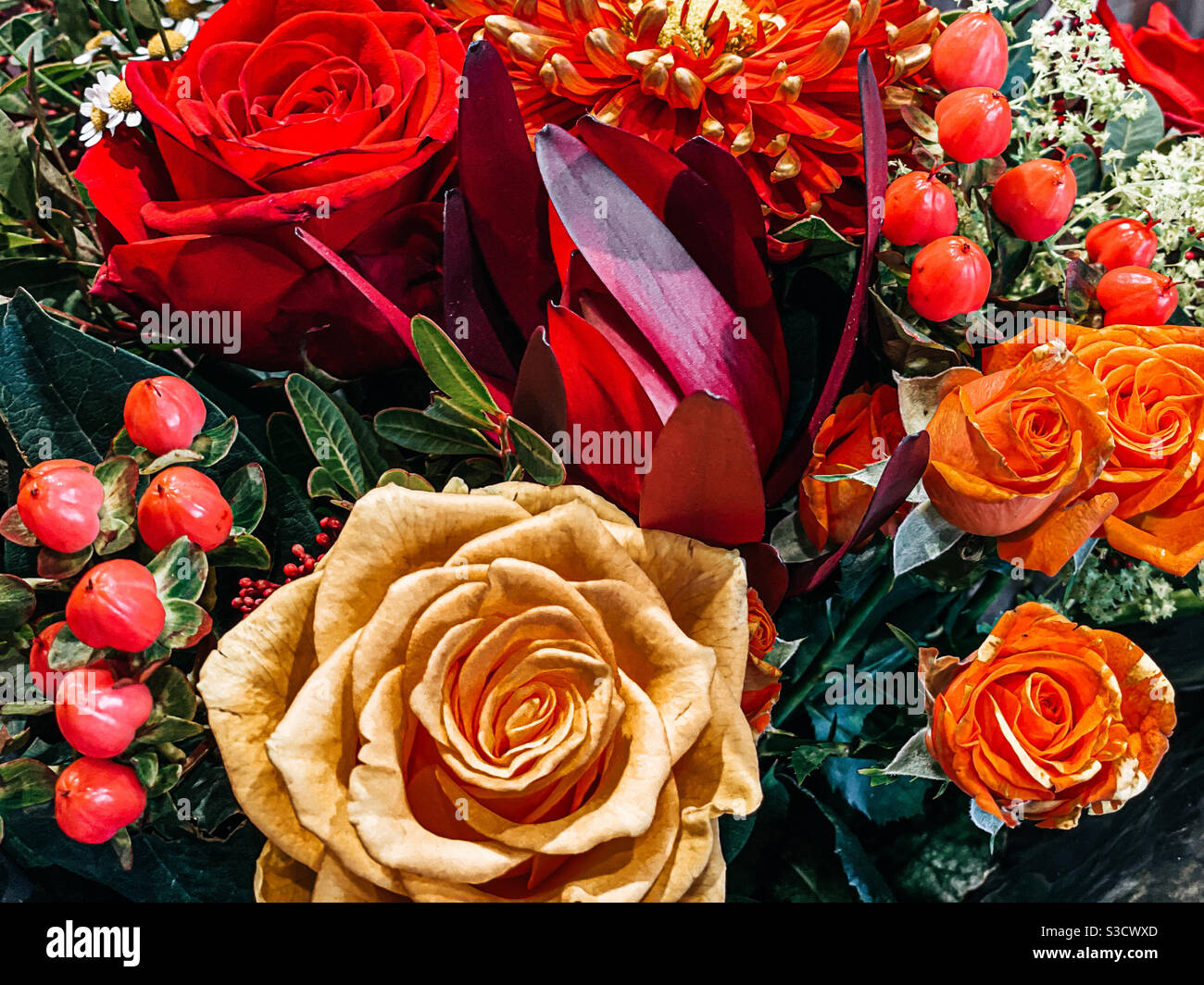 Bouquet de fleurs rose - Image de stock capturée avec un smartphone