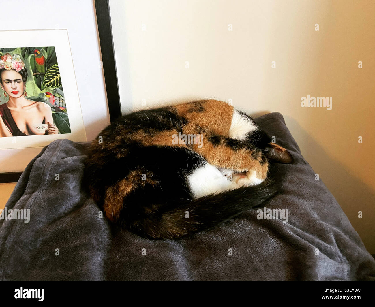 Humeur actuelle - Image de stock capturée avec un smartphone