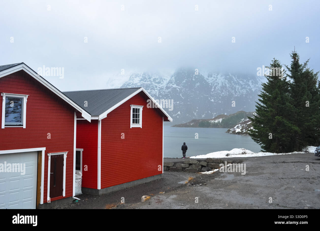 Maisons traditionnelles rouges à Reine, Lofoten, Norvège Banque D'Images