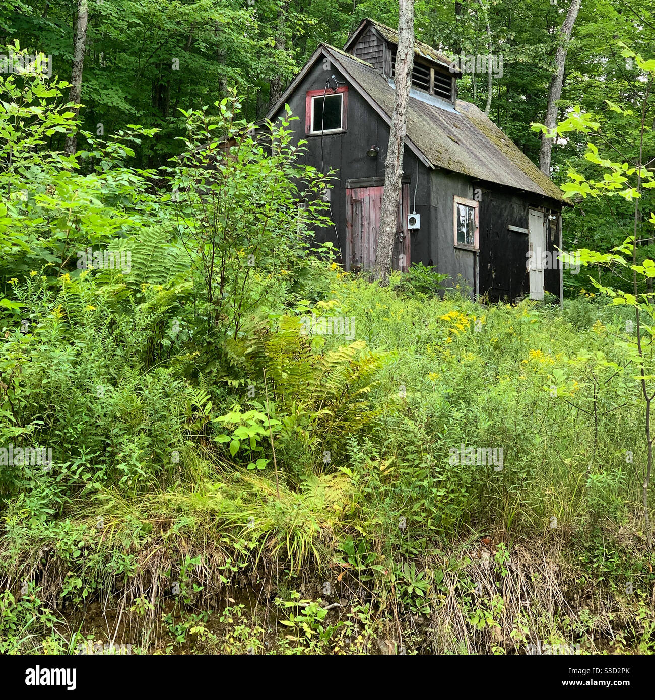 Sugar Hill, Grafton County, New Hampshire, États-Unis Banque D'Images