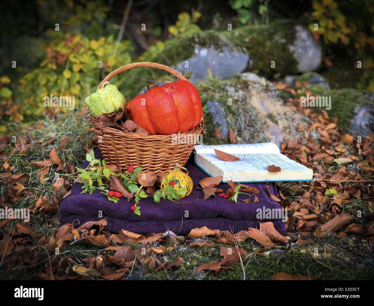 La vie encore en automne : panier en bois avec des citrouilles et des fruits et un livre sur les feuilles brunes tombées sur le sol Banque D'Images
