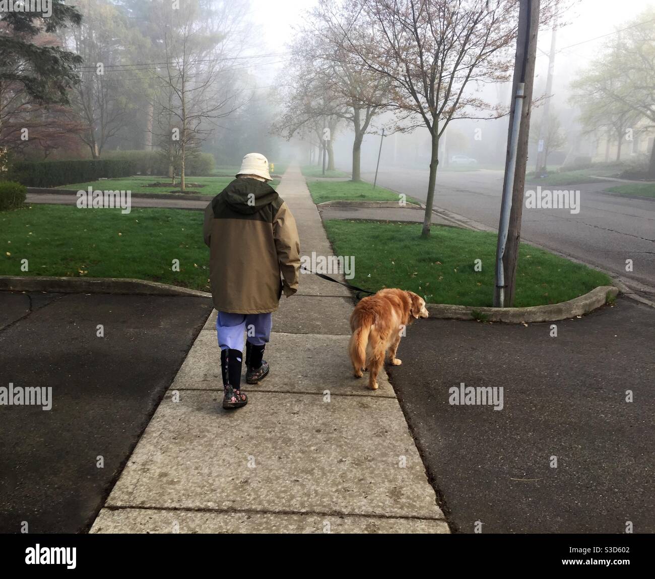 Chien marchant un matin brumeux. Un aîné et son animal de compagnie. Compagnon. Animal. Ami. Compagnie. - Image de stock capturée avec un smartphone