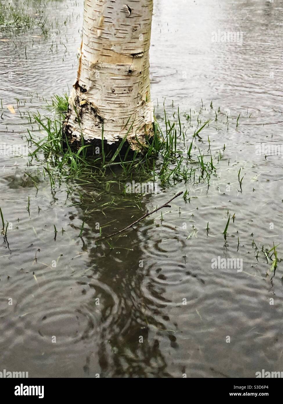 Gouttes de pluie tombant dans des flaques et des champs inondés Banque D'Images