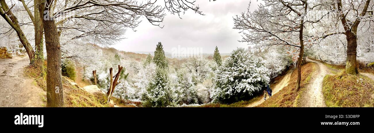 Campagne forêt promenade dans la neige d'hiver entre Tunbridge Wells et Tea Garden Lane dans le Kent. Banque D'Images