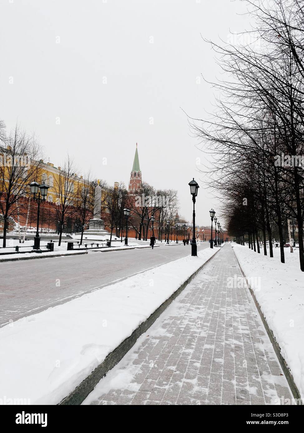 Kremlin en hiver. Moscou. Banque D'Images