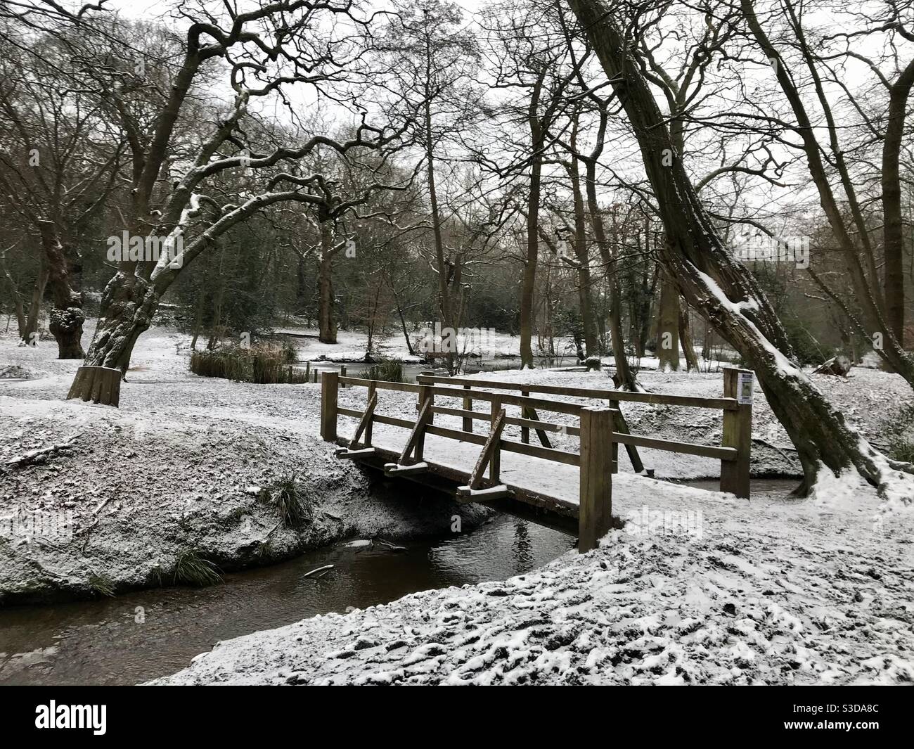 Bridge en hiver Banque D'Images